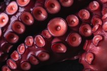 Hohe Nahaufnahme frischer Tintenfische mit roten Saugnäpfen auf dunklem Tisch — Stockfoto