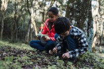 Веселая этническая девушка с ручкой и блокнотом против брата, изучающего лист папоротника с увеличителем, сидя на земле в лесу — стоковое фото