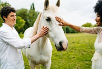 Cheerful multiracial couple stroking gray horse pasturing on meadow in countryside in summer — Stock Photo