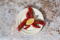 Вкусные морепродукты из приготовленных красных креветок со свежими ломтиками лимона и грубой солью на белом фоне — стоковое фото