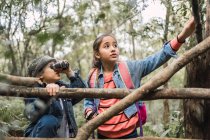 Ethnic child talking to sibling looking through binoculars against tree trunks while exploring forest in daylight — Stock Photo