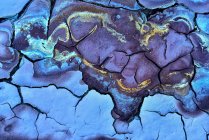 Абстрактная текстура треснувшей грязи с удивительными цветами и формациями, напоминающими носорогов — стоковое фото