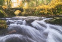 Picturesque view of shallow river with rapid aqua fluids under old bridge between trees in fall in Lozoya, Madrid, Spain — Stock Photo