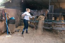 Зайнята жінка-фермер, яка збирає сіно з виделкою, працюючи в стайні з конями на ранчо влітку — стокове фото