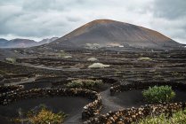 Arbustos e rochas localizados em solo seco perto da estrada e colinas no vale sem água no dia nublado em Fuerteventura, Espanha — Fotografia de Stock