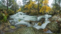 Живописный вид на каскад с пенной жидкостью между валунами с мхом и золотыми деревьями осенью — стоковое фото