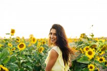 Изящная молодая латиноамериканка в стильном желтом платье, стоящая посреди цветущих подсолнухов в сельской местности в солнечный летний день, глядя в камеру — стоковое фото
