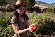 Етнічна ферма в солом'яному капелюсі стоїть з кусаним помідором у полі в сільській місцевості в сонячний день — стокове фото