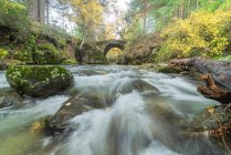 Vue pittoresque de la cascade avec de l'eau mousseuse fluide entre les rochers avec de la mousse et des arbres dorés en automne avec un pont en pierre en arrière-plan — Photo de stock