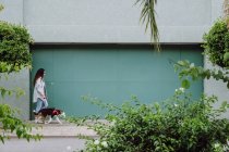 Бічний погляд на власницю жіночої статі, який ходить з Прикордонною Коллі собакою під час відпочинку під час прогулянки в місті. — стокове фото