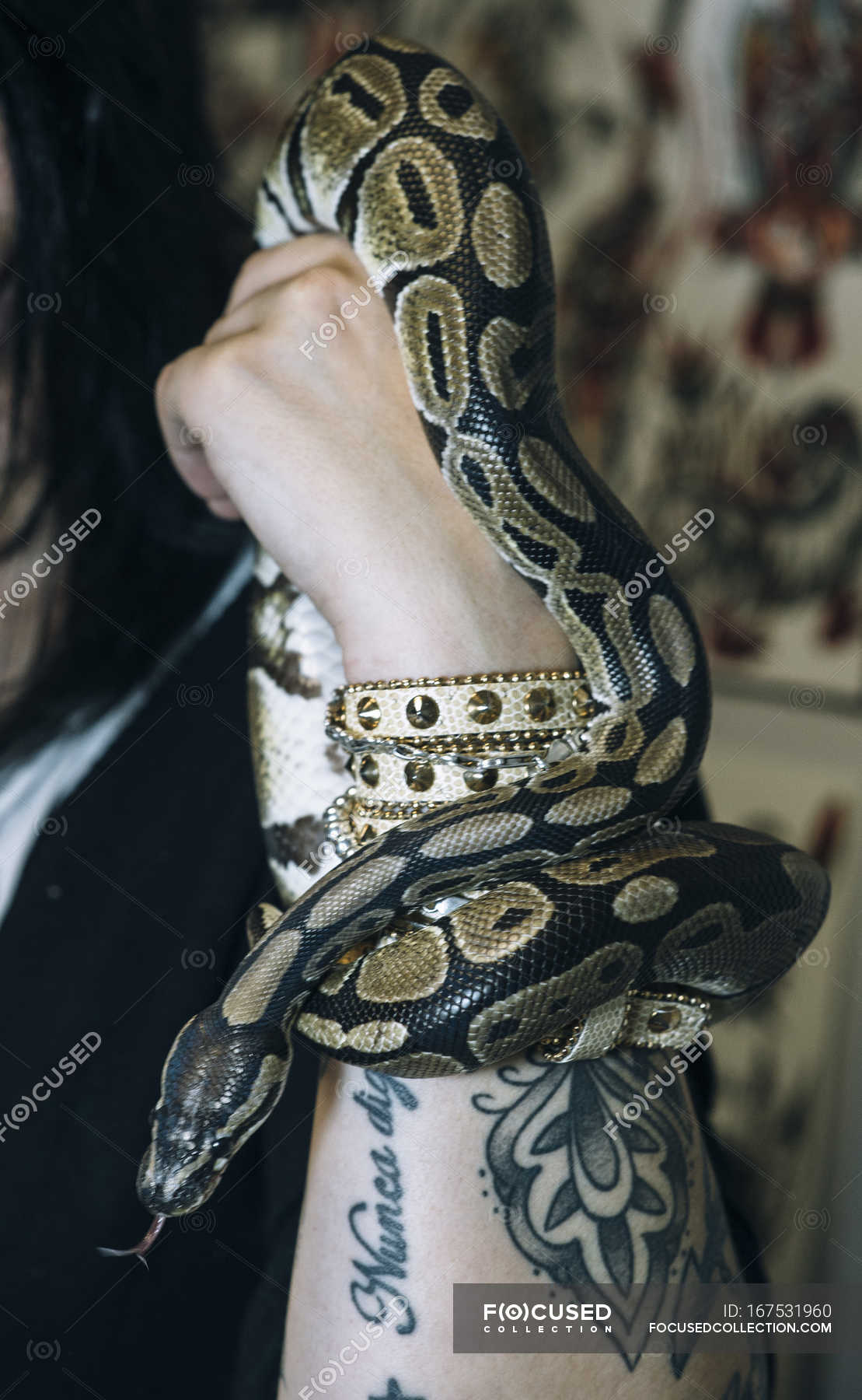 Snake creeping around tattooed hand with bracelet — clasp, yellow ...