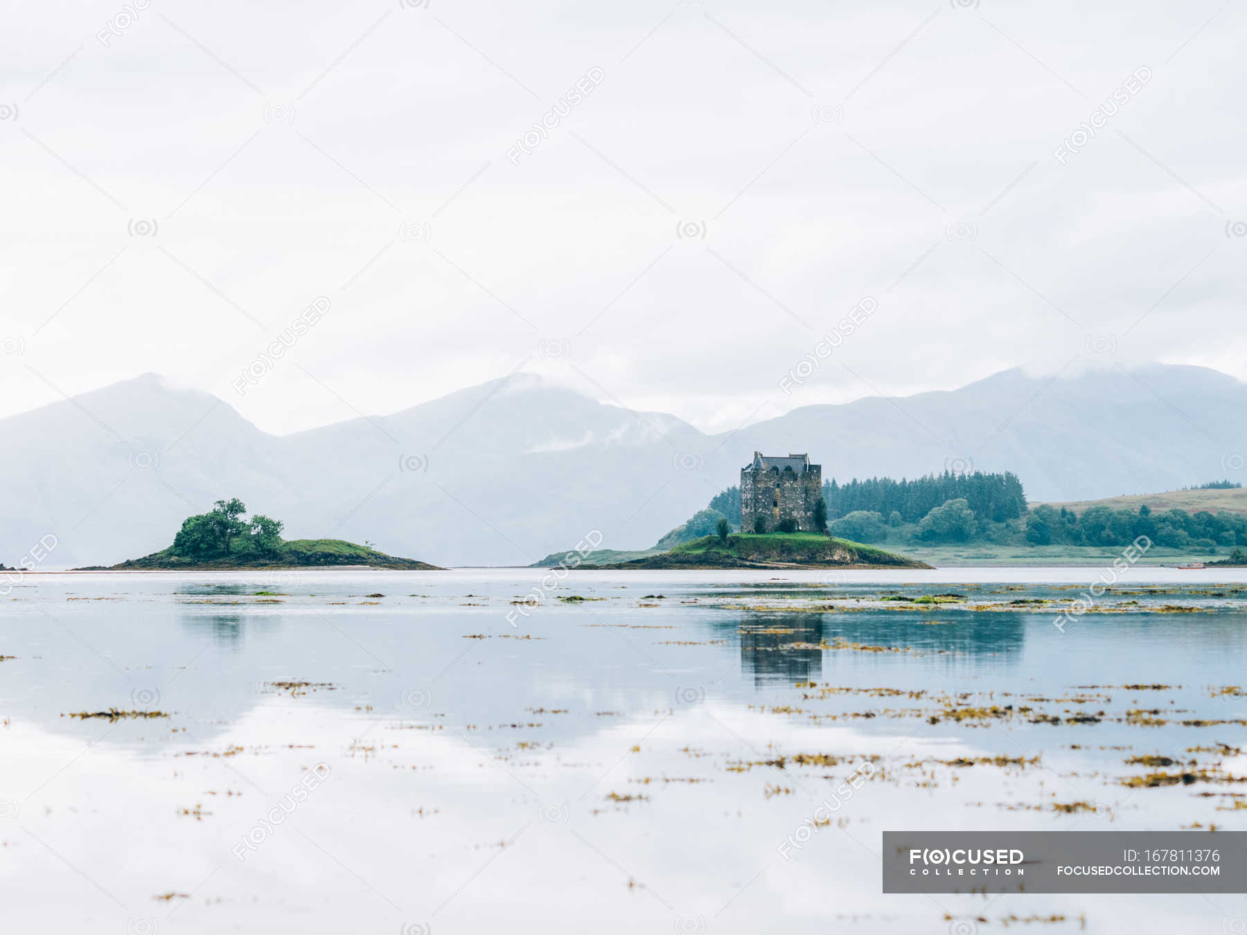 Old House on lake shore — outdoors, river - Stock Photo | #167811376