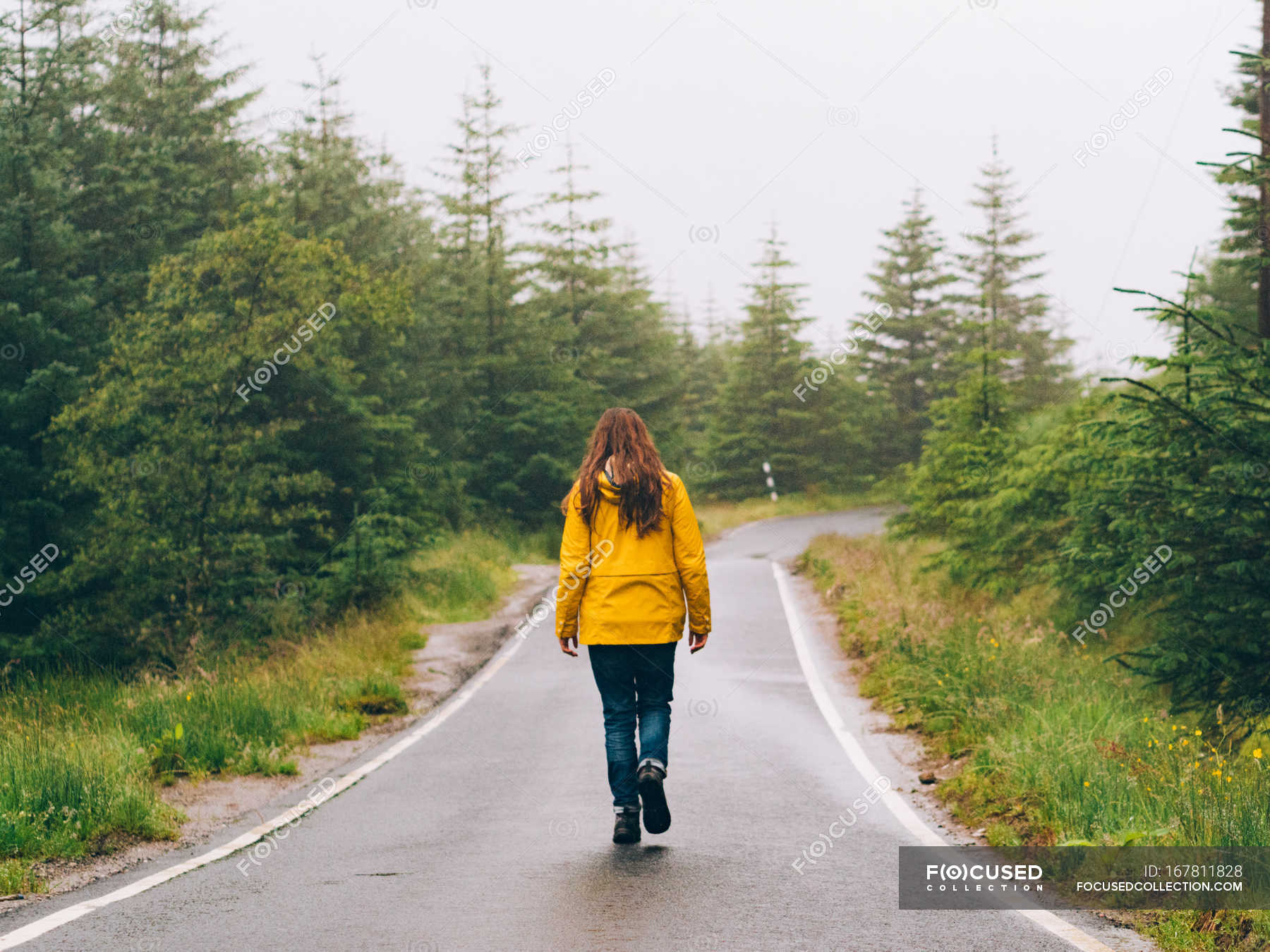 Girl walking forest road — beautiful, color - Stock Photo | #167811828