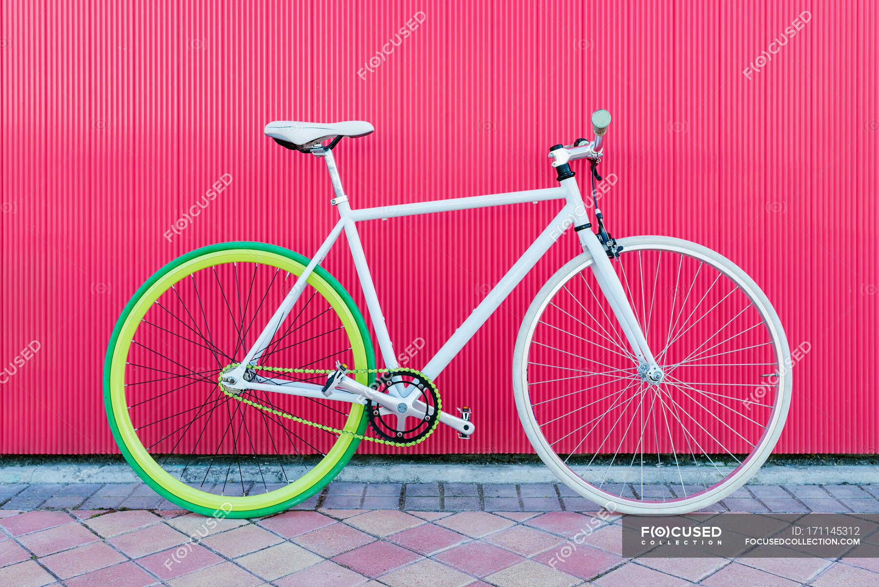 xtreme fixie