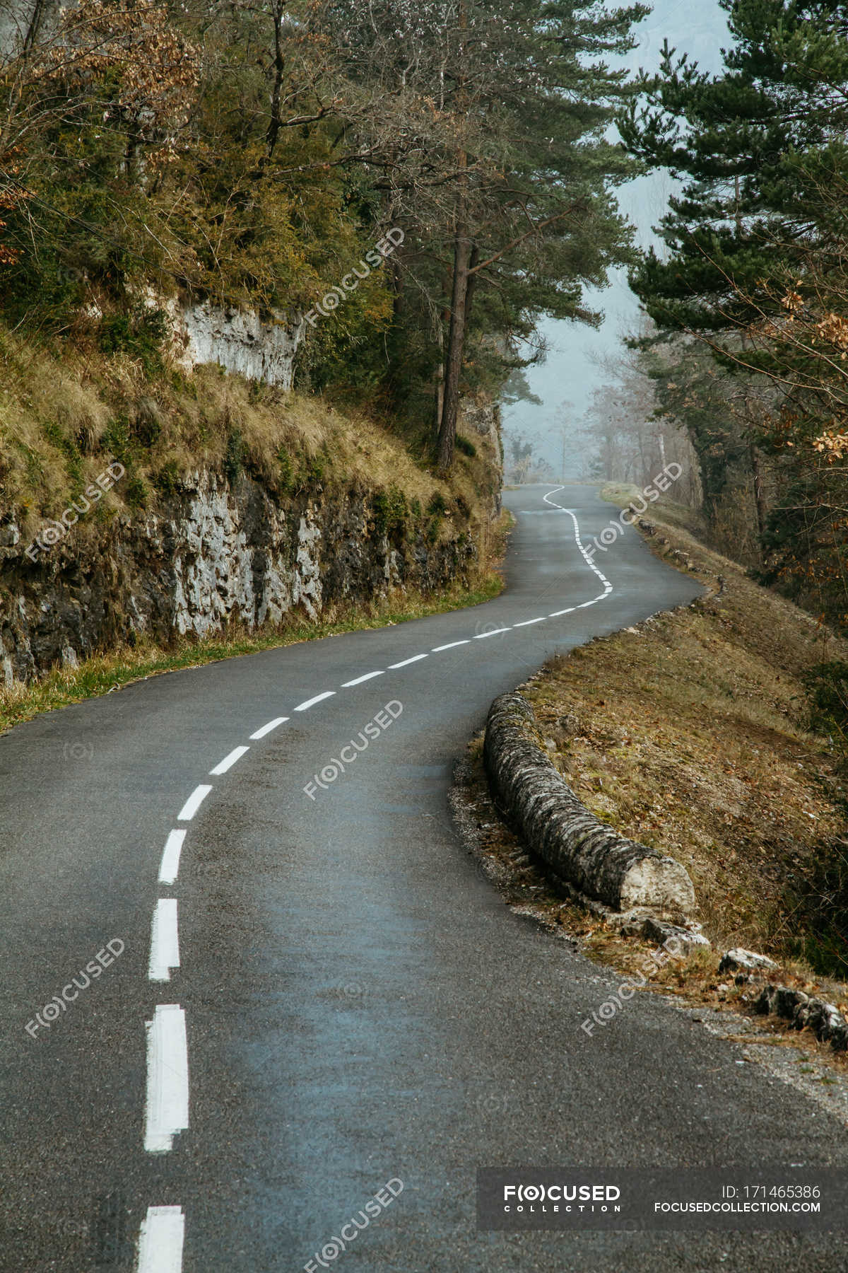 View to thin asphalt road running through forest in hillside. — scenic ...