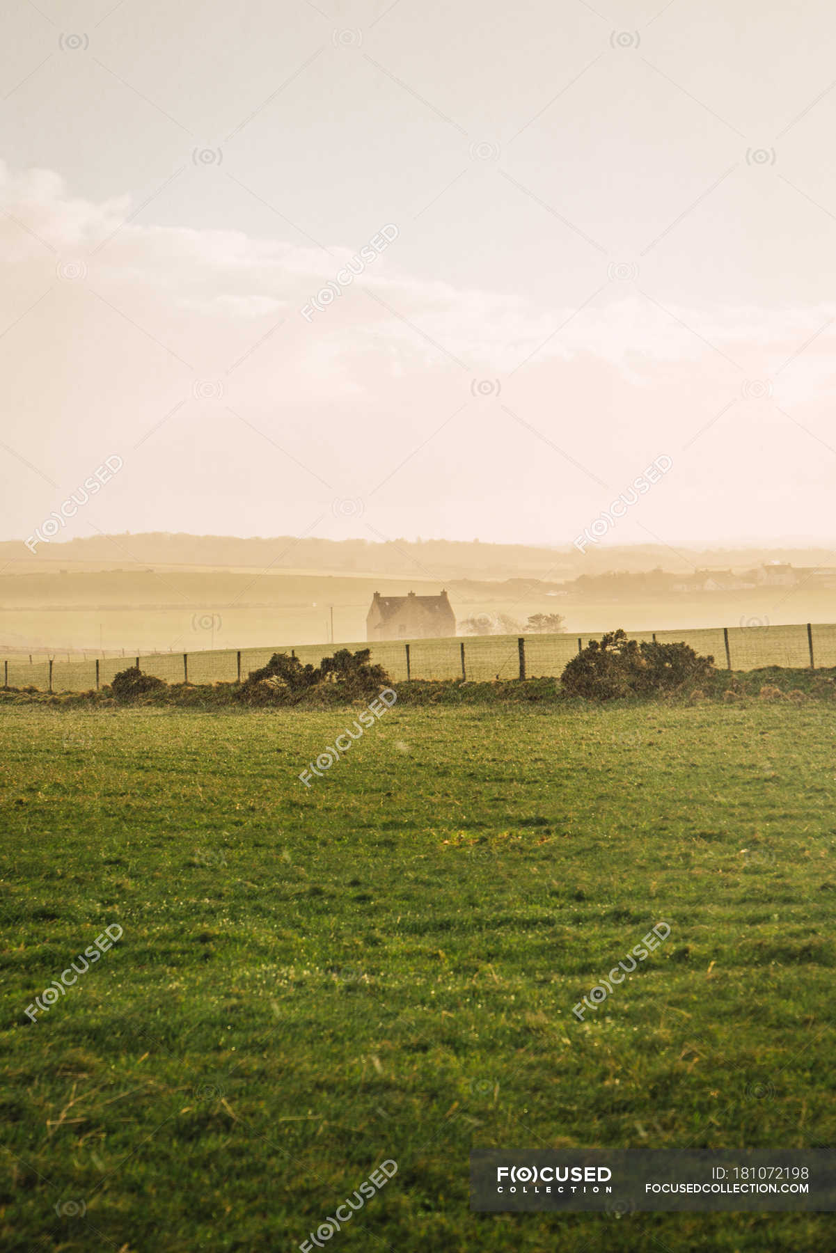 View to green field on farm in countryside on background of misty rural