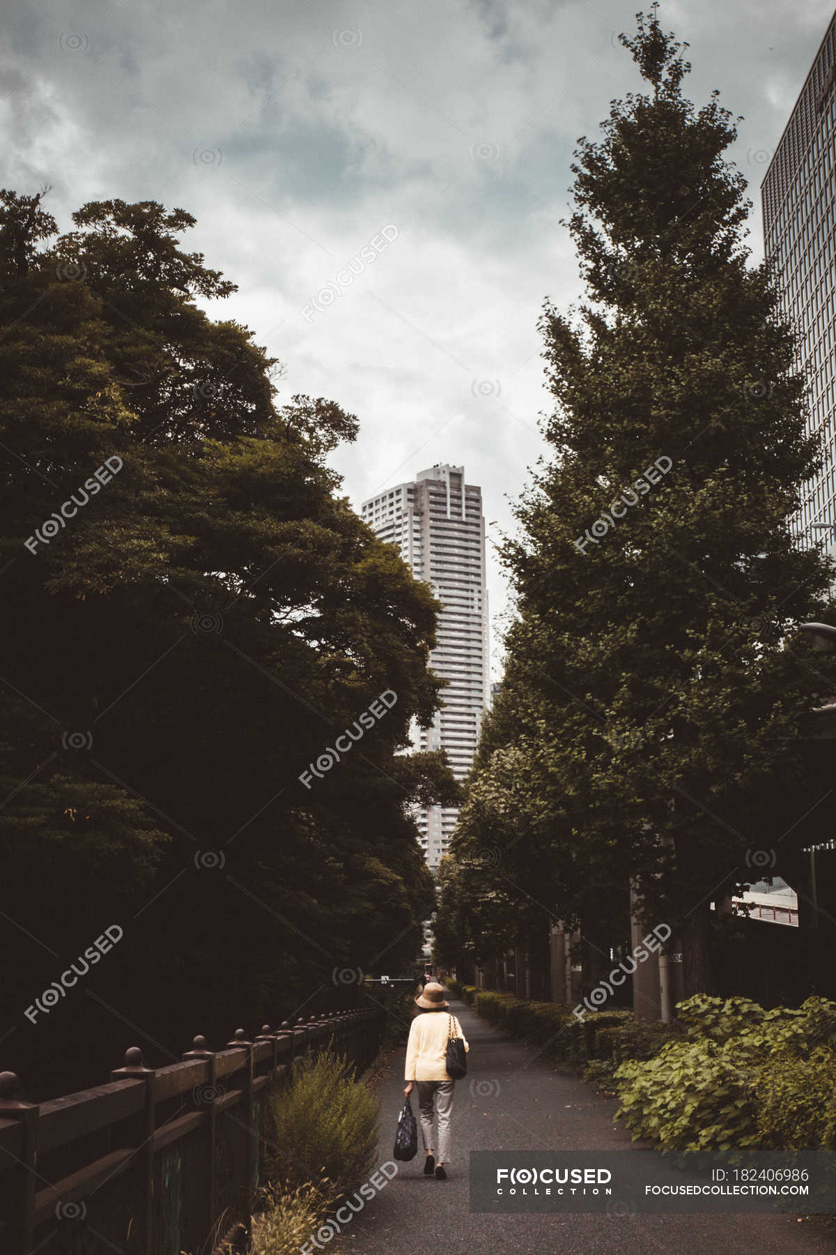 Back View Of Woman Walking In Alley With Tall Woods On Background Of Modern City Daylight Green Stock Photo