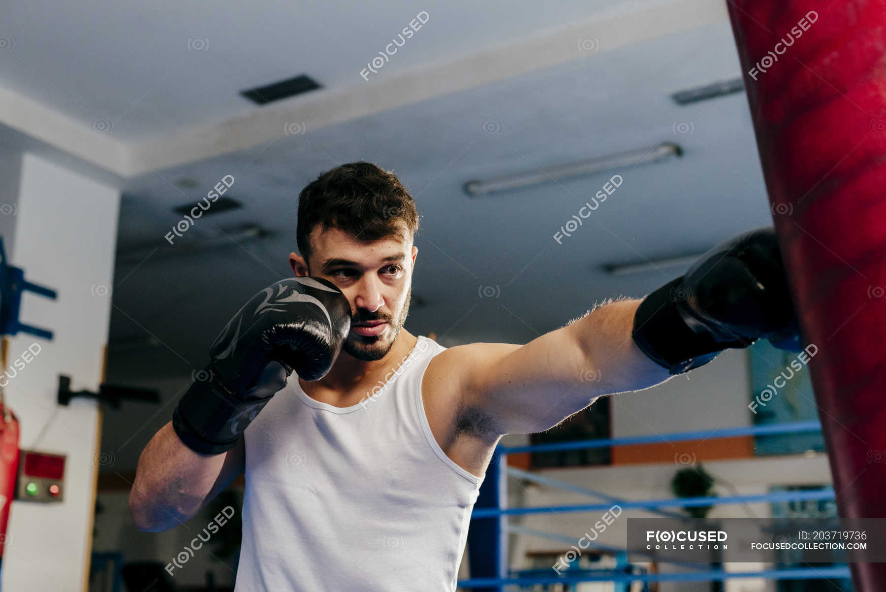 Man punching bag — handsome, Boxer - Stock Photo | #203719736