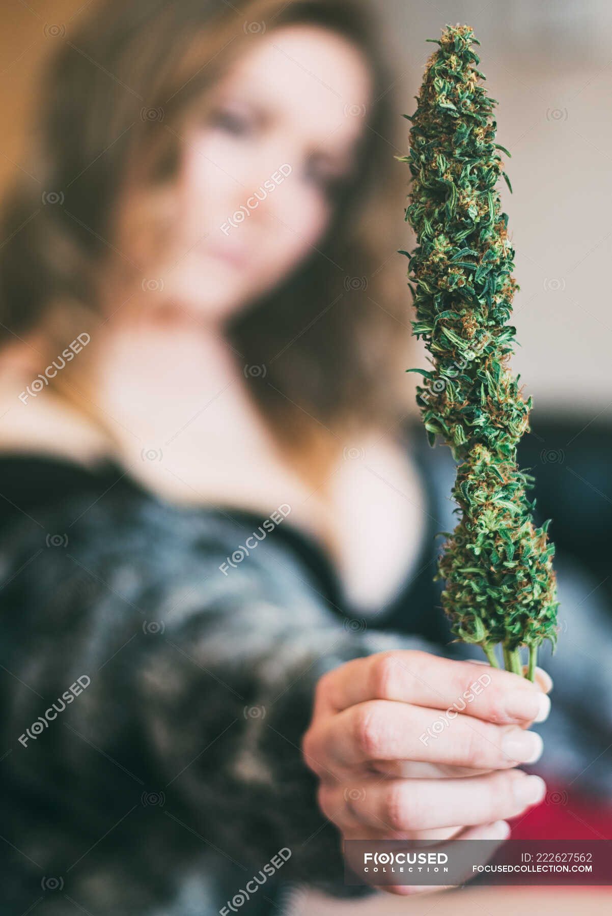 Marihuana - Fotos de stock, imágenes sin royalties | Focused