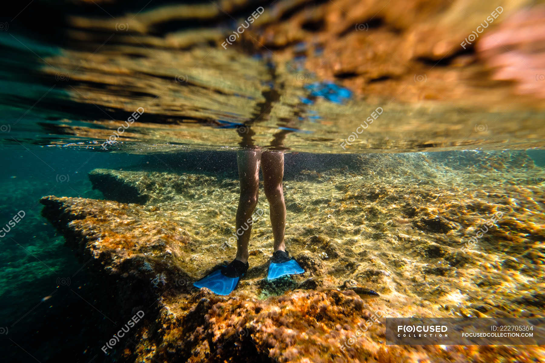 Ноги мальчика в ластах, стоящего на камне под морской водой — ребенок ...