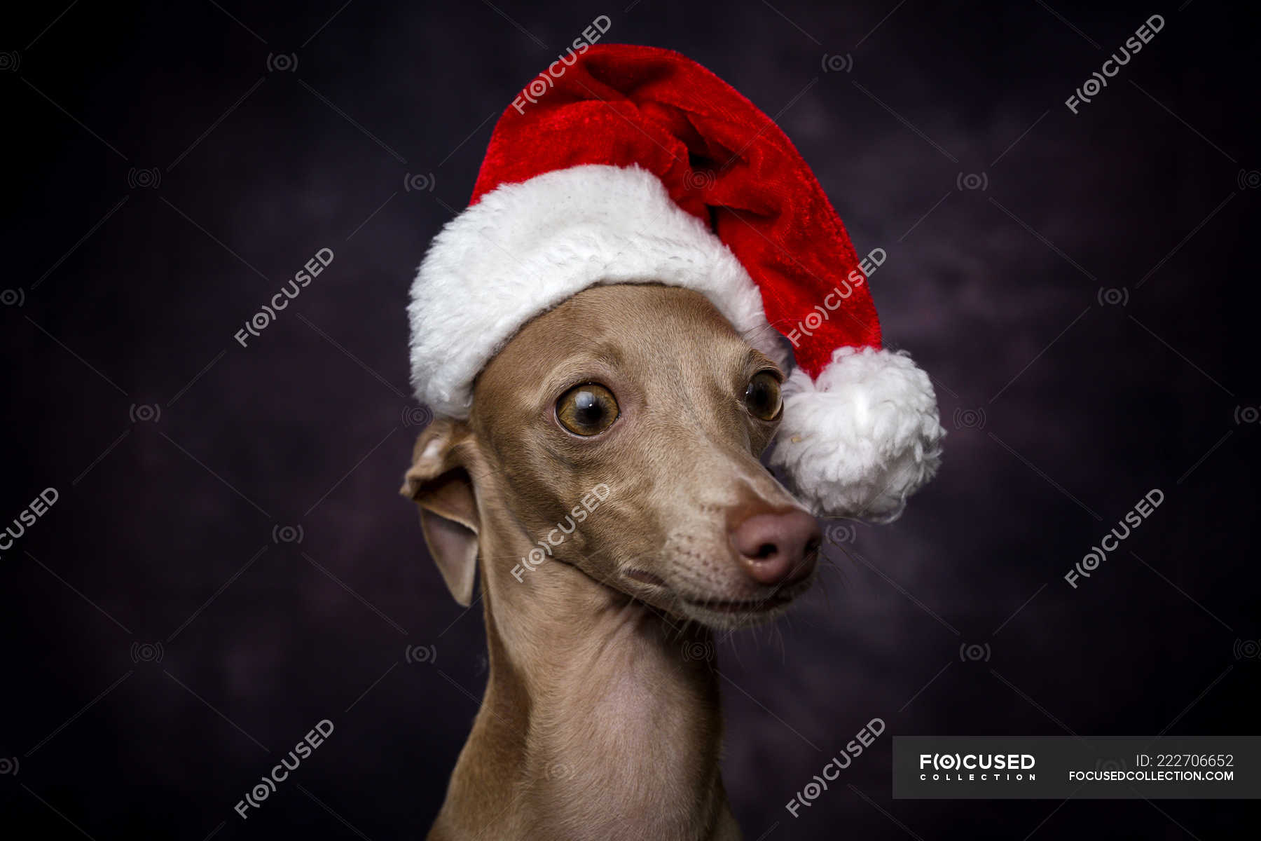 diy paper elf hat