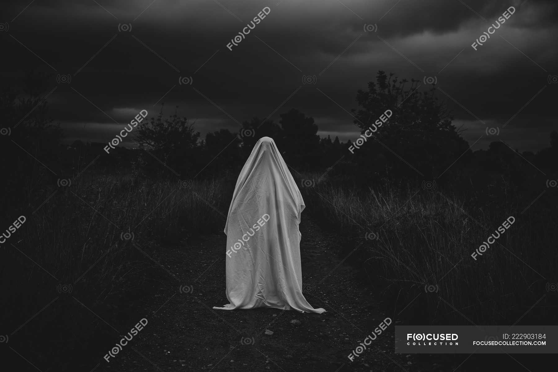 Udstyre Antibiotika Messing Person disguised as ghost walking on road in countryside — shadow, cloudy  sky - Stock Photo | #222903184