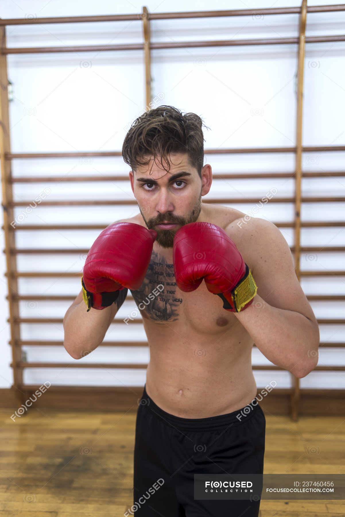 Young confident man boxing in gym — fit, gloves - Stock Photo | #237460456