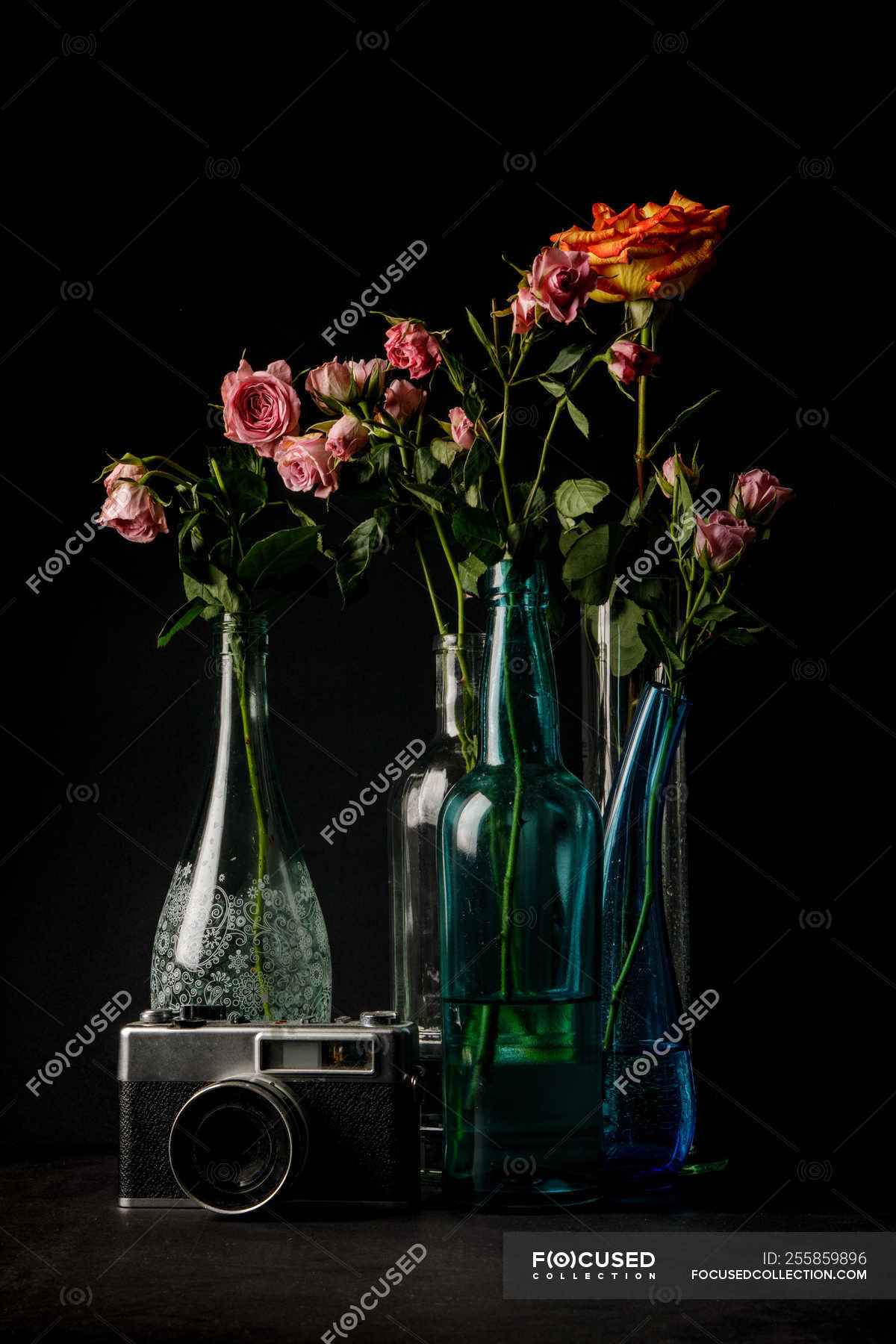 Vintage photo camera and glass vases with bouquets of lovely flowers on  black background — fresh, composition - Stock Photo | #255859896
