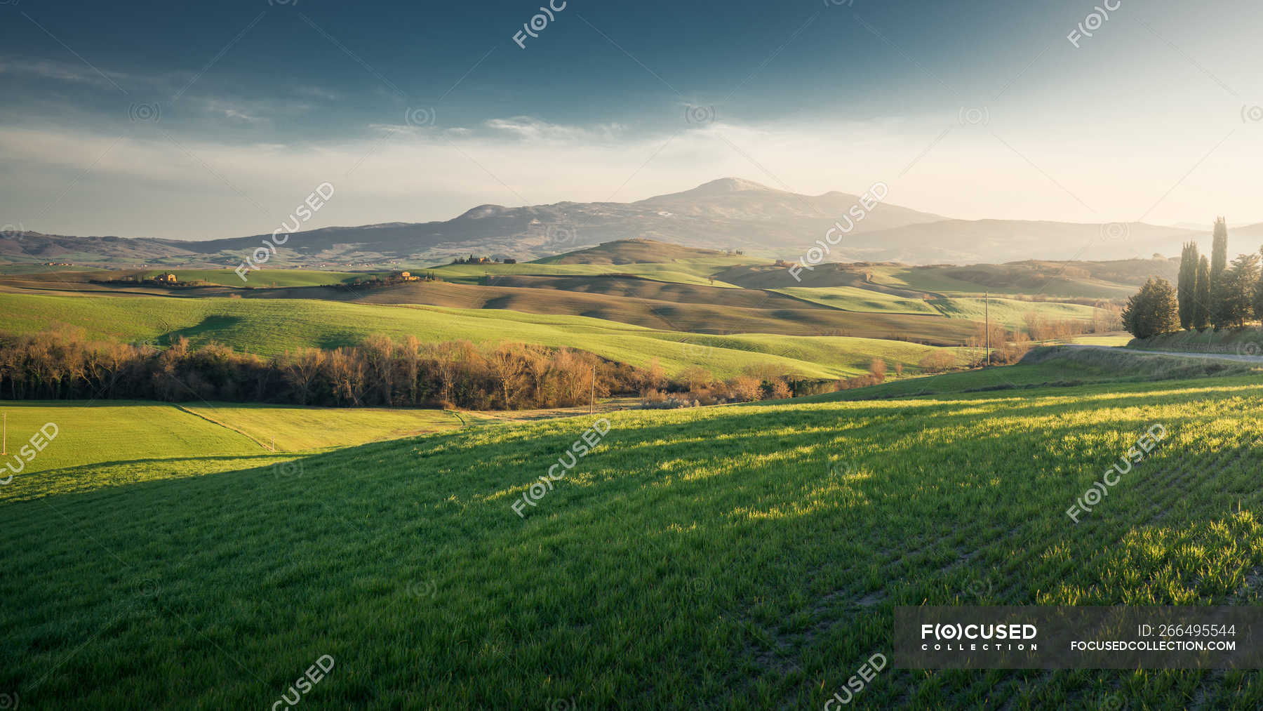 Panoramic View Of Endless Green Fields In Bright Sunlight Italy Lawn Grass Stock Photo