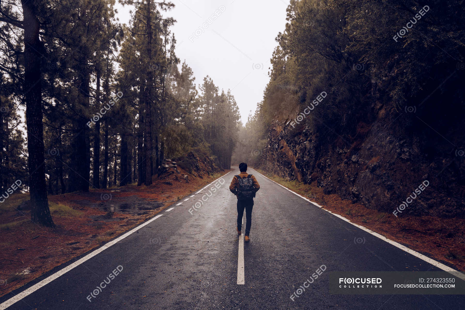 Male traveler walking on empty road in woods — adventure, lonely ...