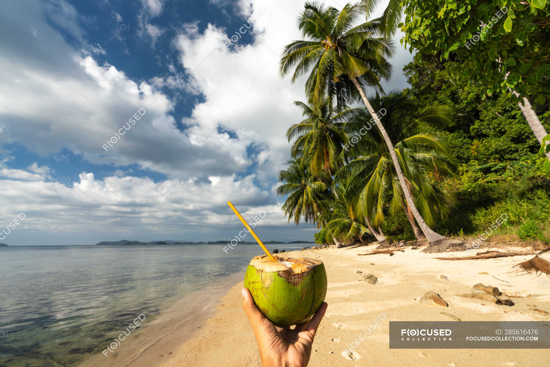 Hand Of Person Holding Coconut Cocktail With Straw On Picturesque Seashore With Palm Trees