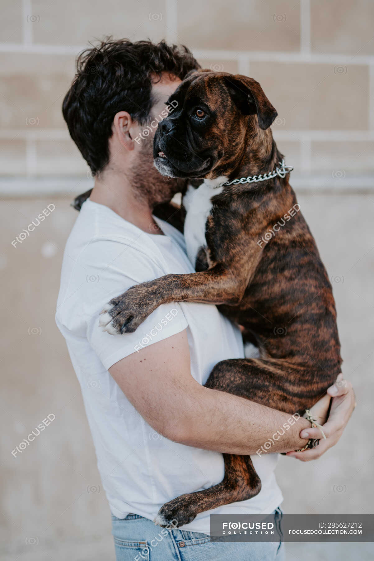 why do boxer dogs hug