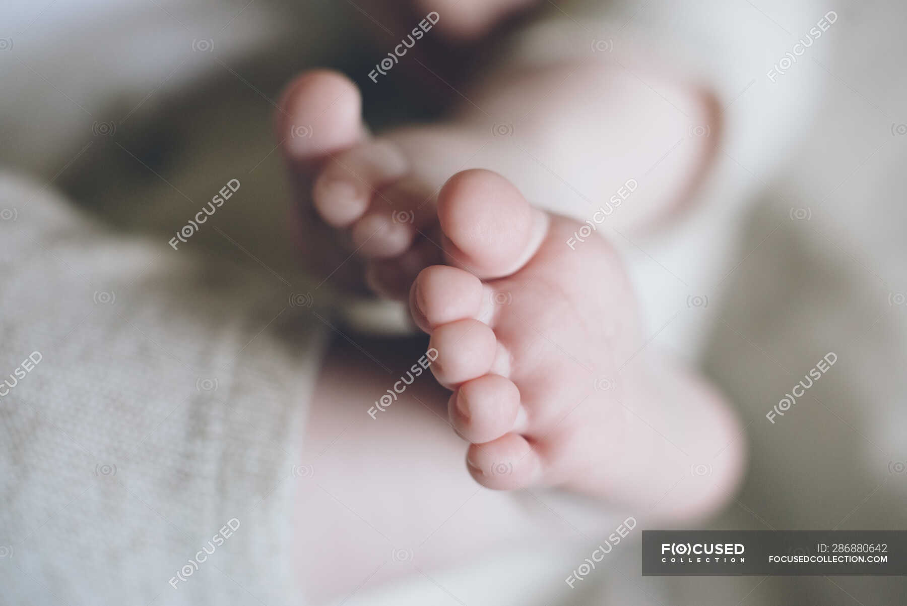 Ножки новорожденного ребенка пухлые. Пухленькие ножки малыша фото в кровати. Милые пальчики
