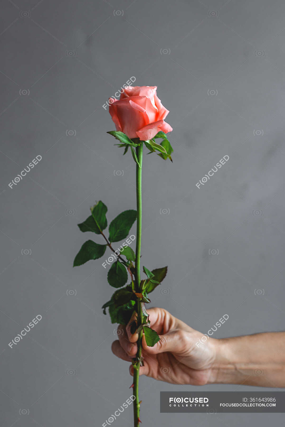 Unrecognizable cropped female professional florist hands making