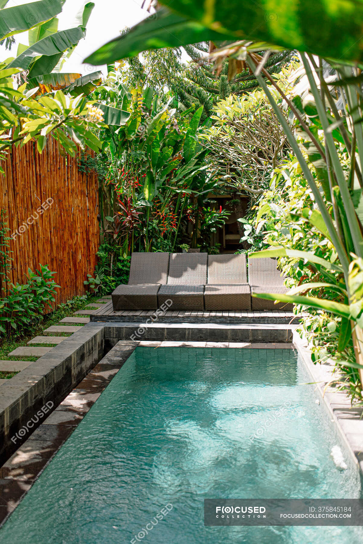 Cozy Courtyard With Pool Surrounded By Tropical Plants And Bamboo Fence