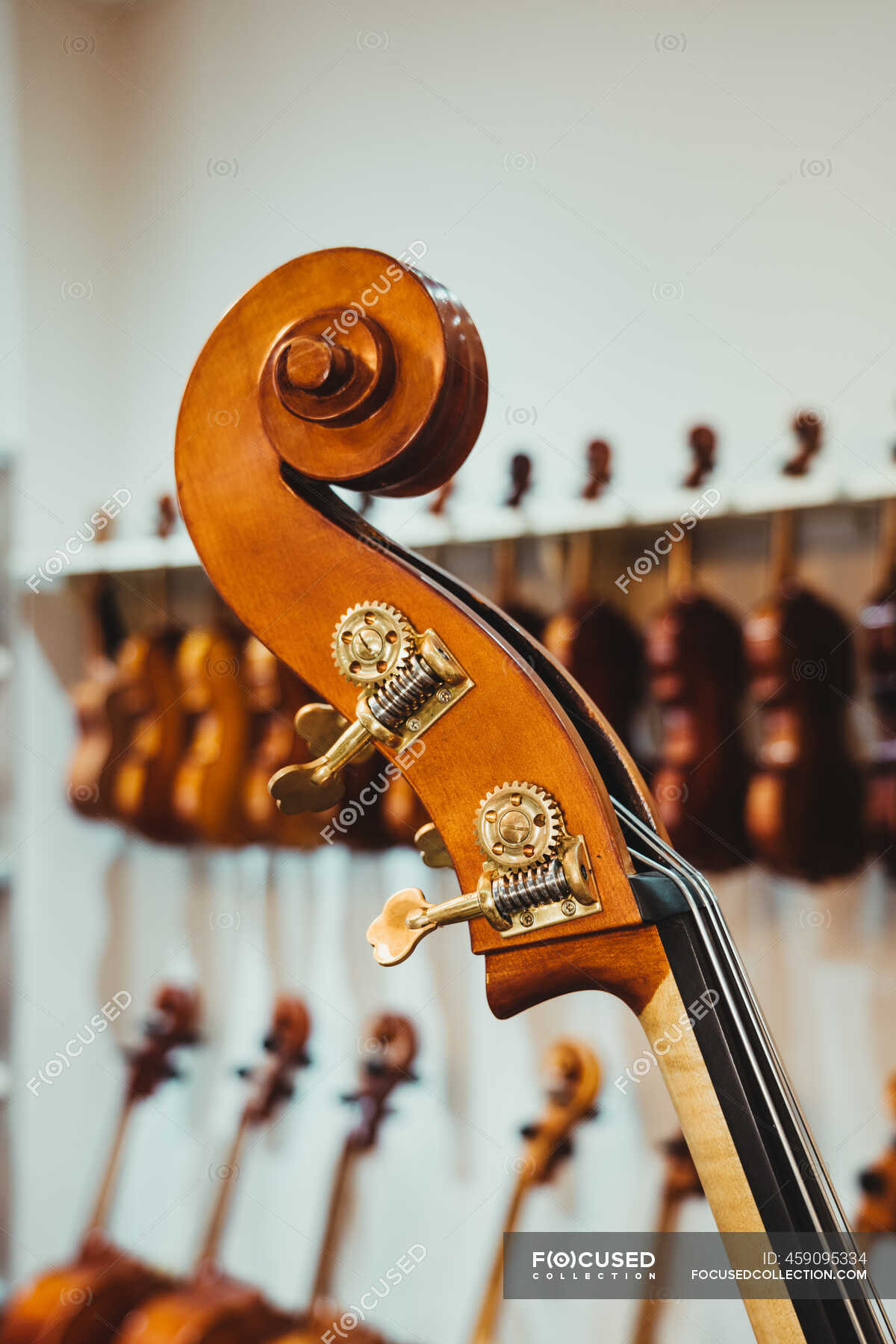 Modern violin curvy scroll with pegs collection of acoustic musical instruments on rack in studio — equipment - Stock Photo #459095334