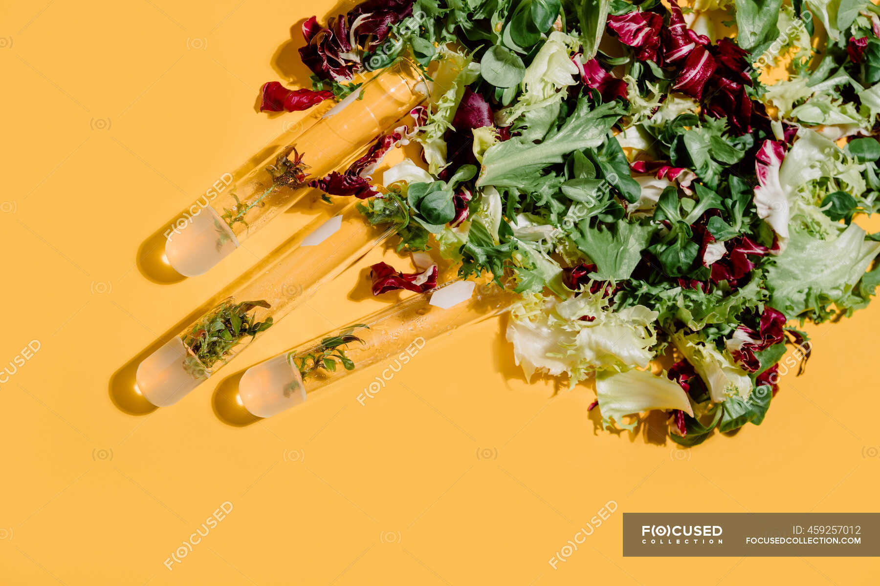 Top view of plants in glass flasks placed on yellow background with