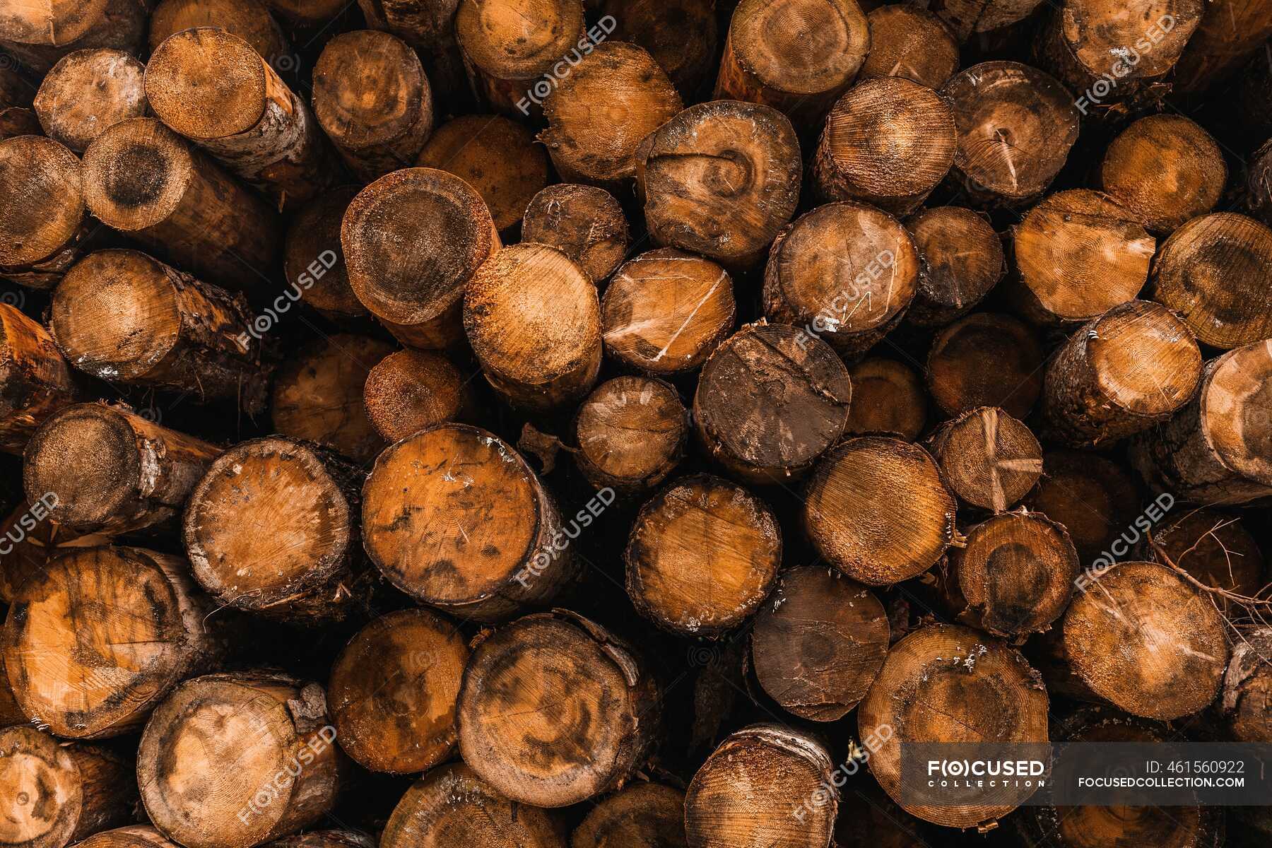 Pile of firewood logs of different sizes stacked together in