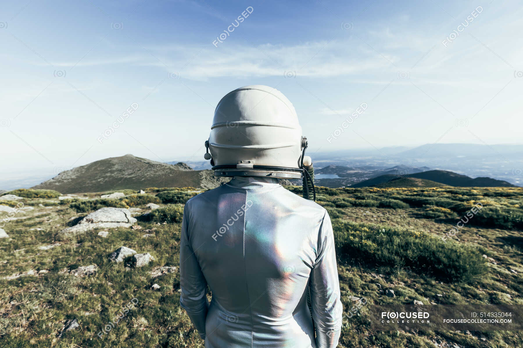 Astronaut Back View