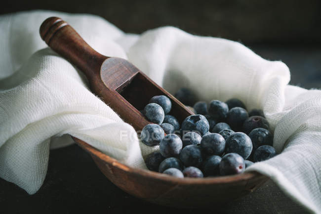 Blueberries in clay bowl — Stock Photo
