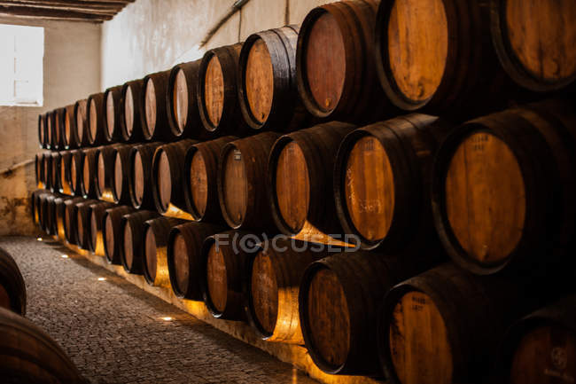 Barricas de vino en bodega - foto de stock