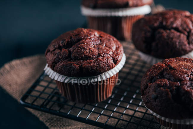Homemade chocolate muffins — Stock Photo