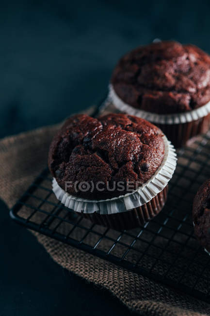 Hausgemachte Schokoladenmuffins — Stockfoto