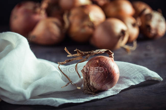 Zwiebel auf weißem Tuch — Stockfoto