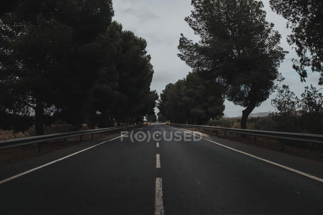 Estrada de asfalto no campo — Fotografia de Stock