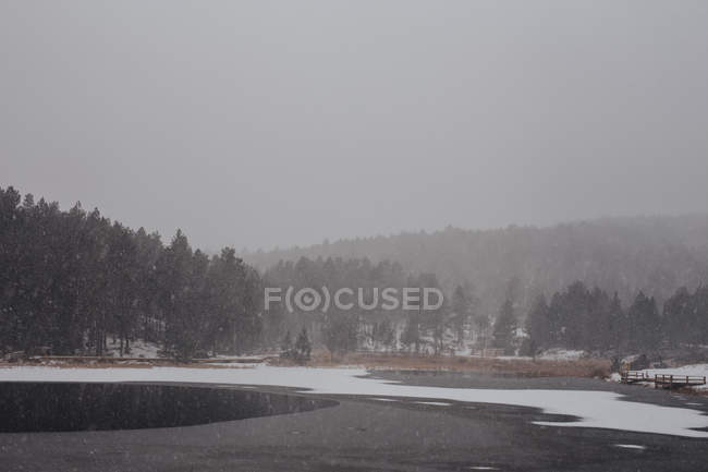 Снігопад на лісовому озері — стокове фото