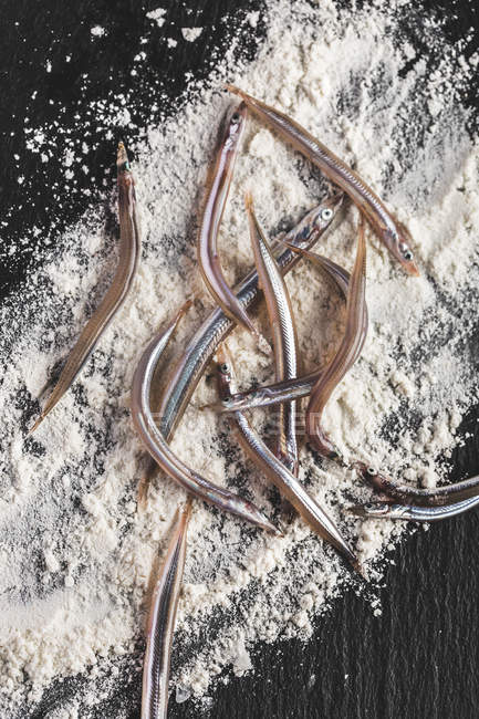 Смачні пісок вугри — стокове фото