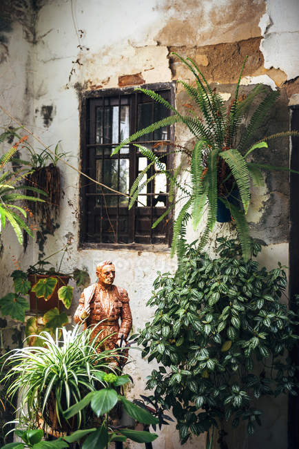 Типичный андалузский дворик с фонтаном и растениями — стоковое фото