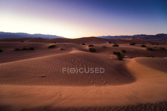 Mesquite flache Sanddünen — Stockfoto