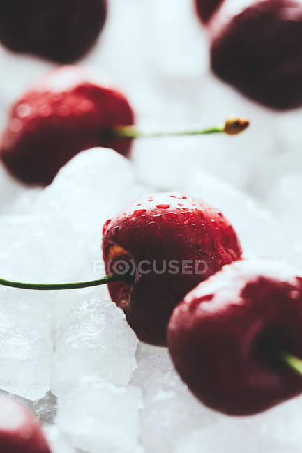 Fresh cherries on ice — Stock Photo